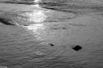 PICT7958_3