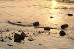 PICT7966_2