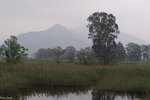 PICT5236