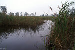 PICT5242