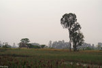 PICT5248