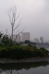PICT5276
