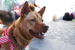 DSC00663_2