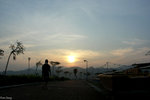 PICT3919