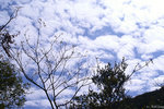PICT_D4414
