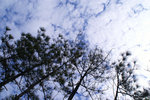 PICT_D4415