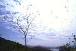 PICT_D4426
