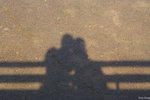 PICT_D4461