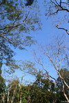 PICT_D4470