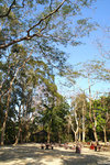 PICT_D4472