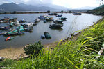 PICT_D1708