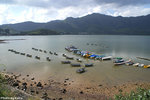 PICT_D1713