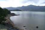 PICT_D1719