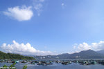 PICT_D1737