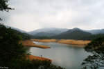 PICT_D4506