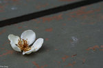 PICT_D4513