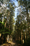 PICT_D4537