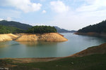 PICT_D4541