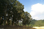PICT_D4549