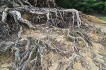 PICT_D4556