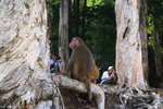 PICT_D4566