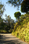 PICT_D4342