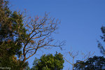 PICT_D4343