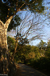PICT_D4354