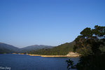 PICT_D4358