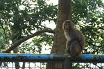 PICT_D4361