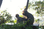 PICT_D4362
