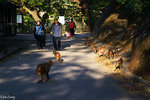 PICT_D4363