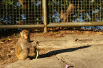 PICT_D4365