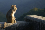 PICT_D4371