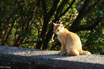 PICT_D4373
