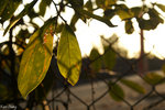 PICT_D4389