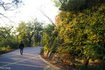PICT_D4390