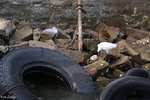 PICT_D2870