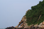 PICT_D2876