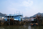 PICT_D2889