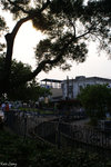 PICT_D2903