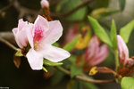 PICT7236_2