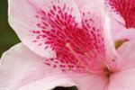 PICT7237_2