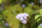 PICT7248_2
