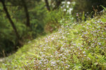 PICT7287_2