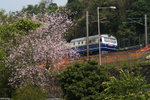 PICT7406_2