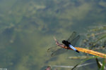 PICT8207_2