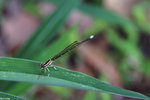 PICT8214_2