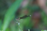PICT8224_2