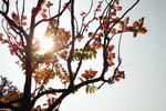 DSC00227_2